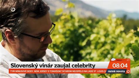 Vinice v Malých Karpatoch