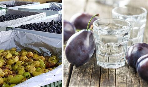 Slovenské ovocie na výrobu destilátov