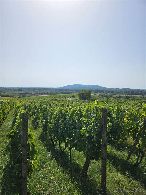 Vinica v slovenskej Tokajskej oblasti