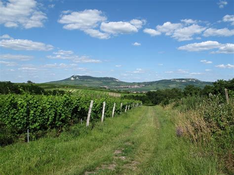 Pohľad na vinohrady v okolí Bojničiek