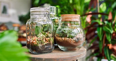 Ilustrácia znázorňujúca proces zrenia destilátu v sklenených nádobách