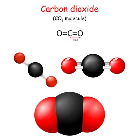 Diagram zobrazujúci molekuly CO2 a tvorbu bubliniek