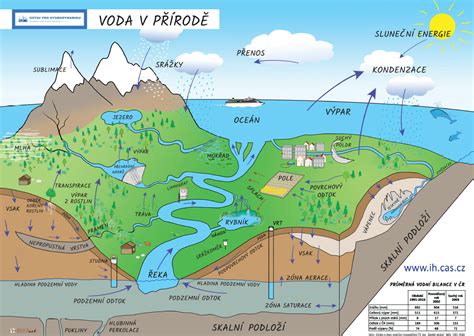 Infografika ukazujúca vplyv anomálie vody na vodný život