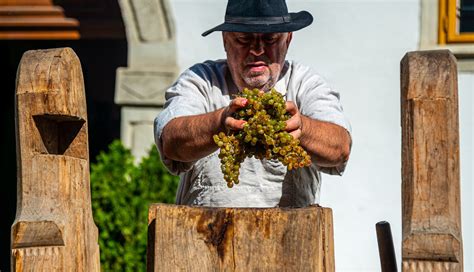 Archív fotografií z Malokarpatského vinárskeho plesu
