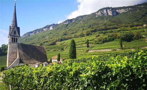 Vinohrady v Južnom Tirolsku