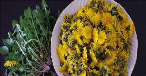 Grafika znázorňujúca účinky na ženské zdravie