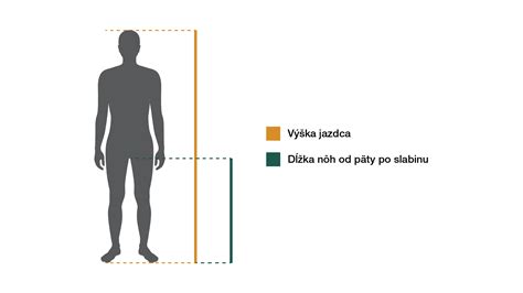Ilustrácia porovnania veľkostí zreničiek pri anizokórii.