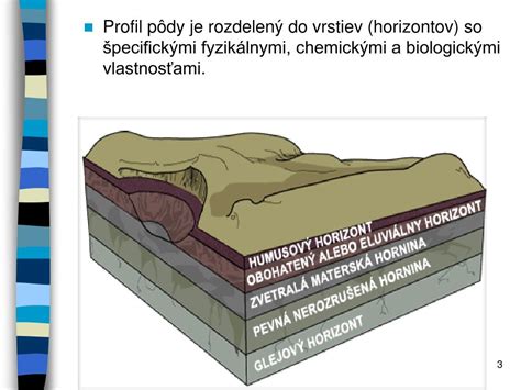 Profil pôdy s vyznačenou vrstvou bridlice