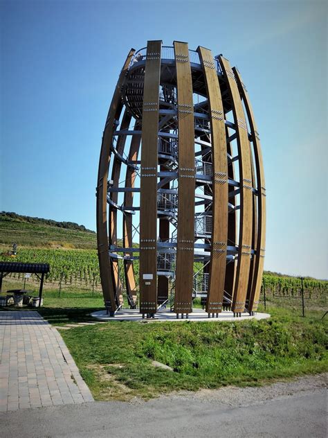 Tokajská krajina s vinohradmi na slnečných svahoch