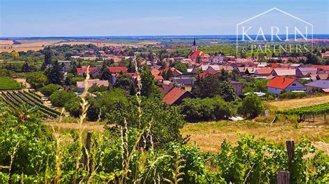 Vinohradnícke svahy pod Malými Karpatmi