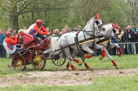 Konské preteky na historickom obrázku