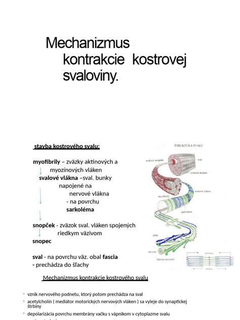 Ilustrácia objemovej kontrakcie pri miešaní