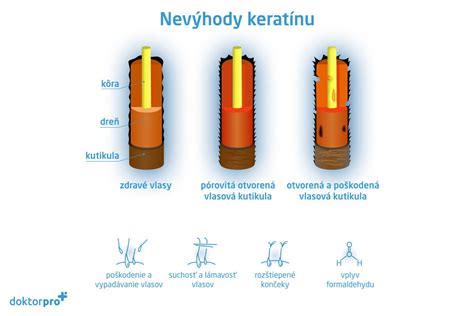 Diagram znázorňujúci molekulárnu štruktúru keratínu a pšeničného proteínu