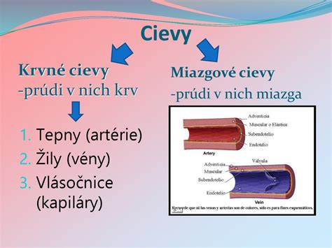 Rozšírené krvné cievy na tvári