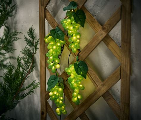 Vinný hrozen s kapkami rosy