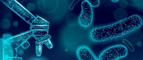 Vizualizácia črevného mikrobiómu