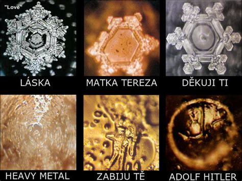 Molekulárna štruktúra vody a etanolu