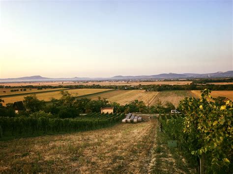 Slovenská vinárska krajina