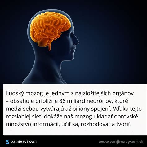 Ilustrácia neurónov a neurotransmiterov