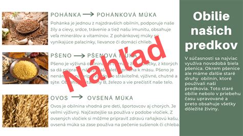 Ilustrácia starovekých obilnín a chleba