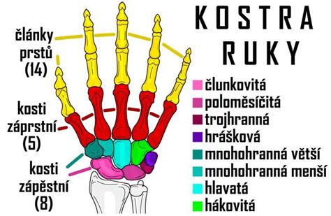 Ruky s hnedými škvrnami od orechov