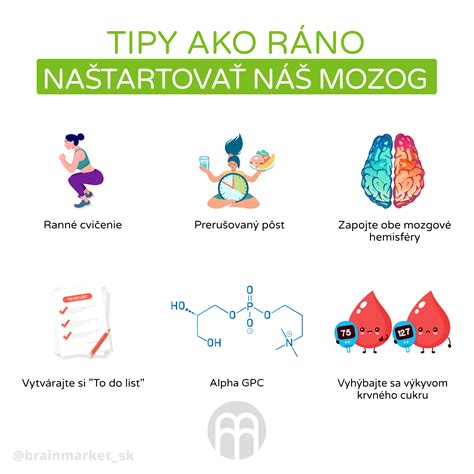 Infografika znázorňujúca mozog a vplyv alkoholu