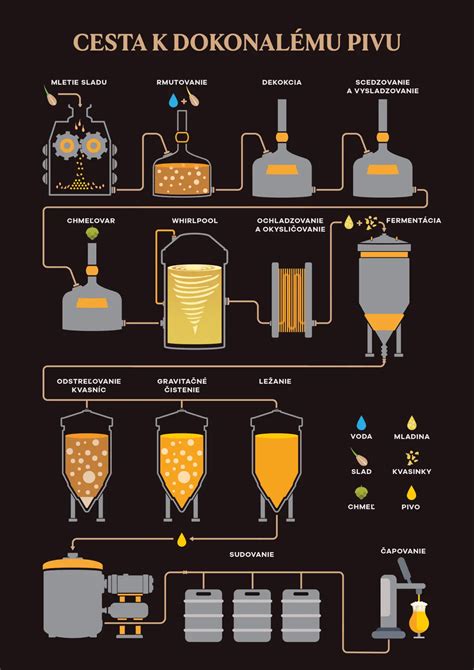 Infografika vysvetľujúca proces varenia piva