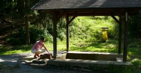 Ilustrácia domáceho levanduľového likéru vo fľašiach