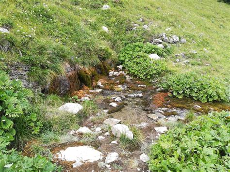 kukurica a pramene čistej vody