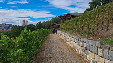 Výhľad z vinohradu Hofweigarten