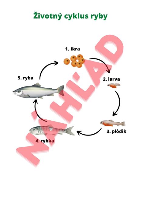 Graf znázorňujúci životný cyklus odvetvia a vplyv na Porterove sily