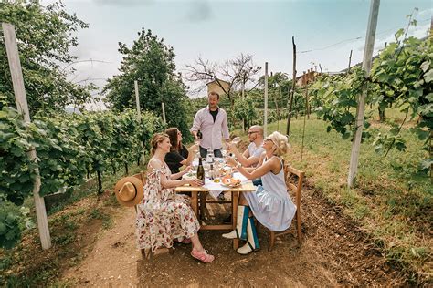 Ľudia degustujúci víno vo viniciach