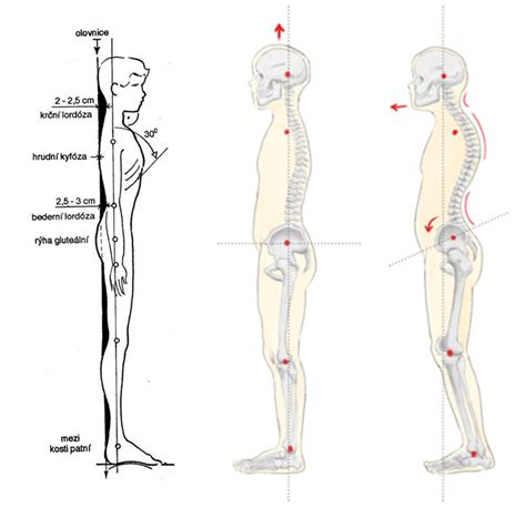 Ilustrácia znázorňujúca správne a nesprávne zaokrúhľovanie