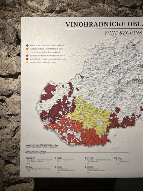 Mapa vinárskych regiónov známych pre Rizling Rýnsky