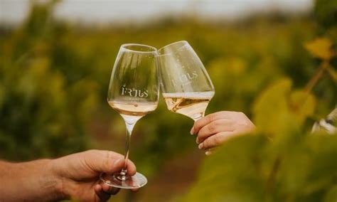 Ilustračná fotografia z degustácie vína