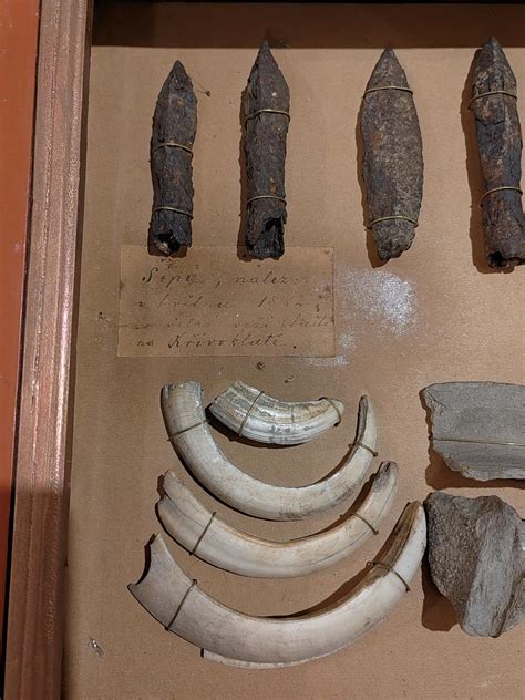 Archeologické nálezy nožov a hroznových zŕn