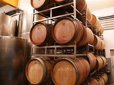 Sudy s dozrievajúcim tokajským vínom