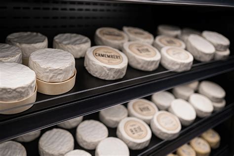 Ilustračná fotografia dvoch rôznych druhov piva