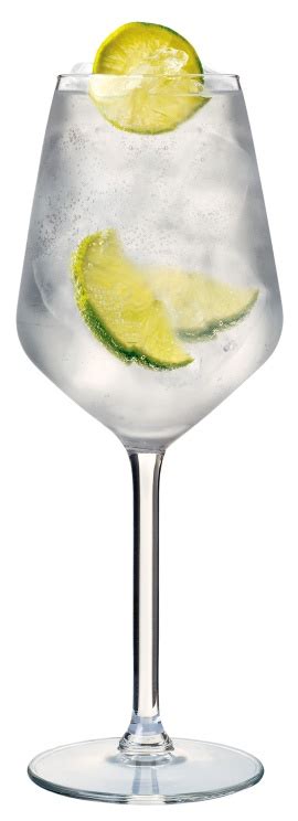 Nealko Gin & Tonic