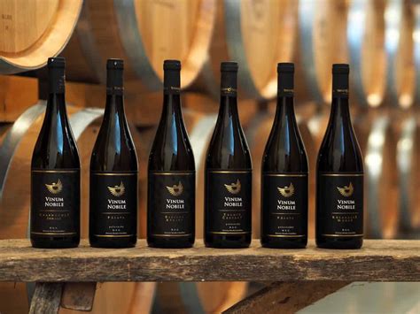 Skúsený someliér pri výklade