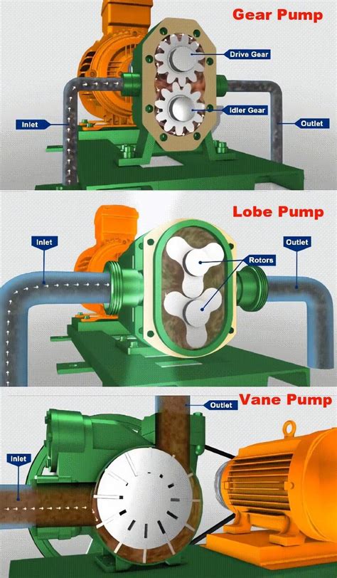 Diagram znázorňujúci sodíkovo-draselnú pumpu