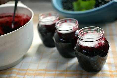 Ilustrácia levandule a čiernych ríbezlí