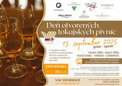 Štruktúra Tokajských pivníc v tufu