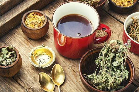 Obrázok zobrazujúci rôzne bylinky prospešné pre zdravie obličiek