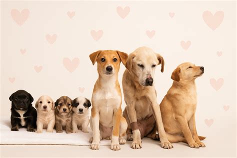 Ilustrácia symbolizujúca nádej a obnovu