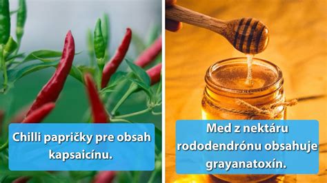 Ilustrácia zobrazujúca rôzne zložky vína, ktoré môžu vyvolať alergickú reakciu