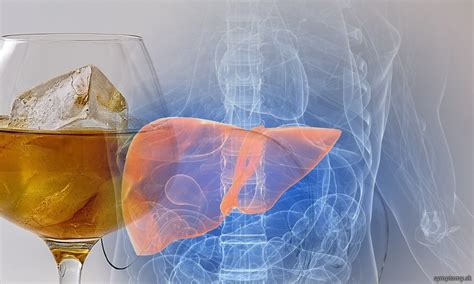 Infografika zobrazujúca pečeň a alkohol