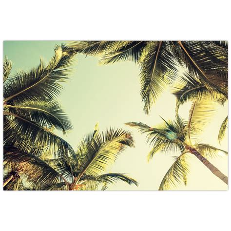 Ilustrácia tropického raja s kokosovými palmami a čokoládovými guľôčkami