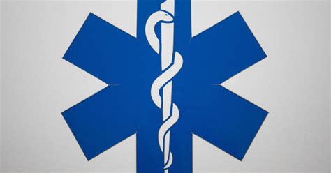 Obrázok zobrazujúci rozkvitnutú rastlinu ako symbol obnovy a zdravia