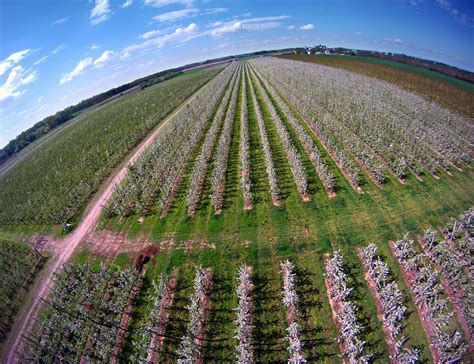Slovenská krajina s ovocnými sadmi